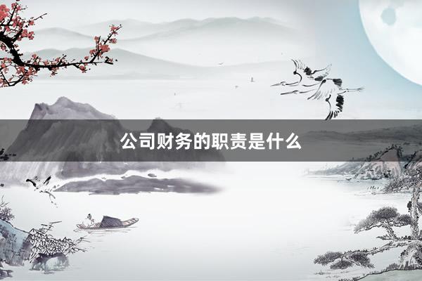 公司财务的职责是什么