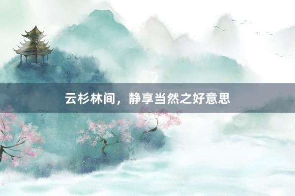 云杉林间，静享当然之好意思