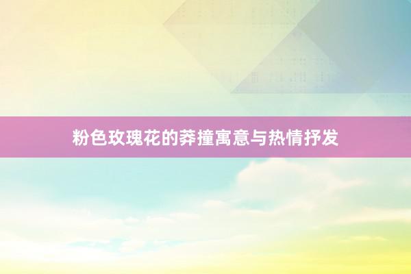 粉色玫瑰花的莽撞寓意与热情抒发