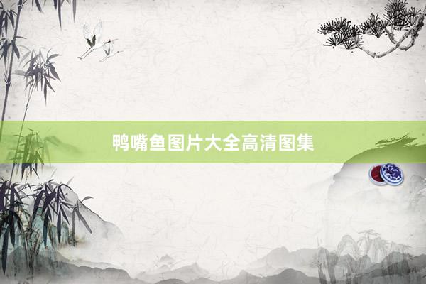 鸭嘴鱼图片大全高清图集