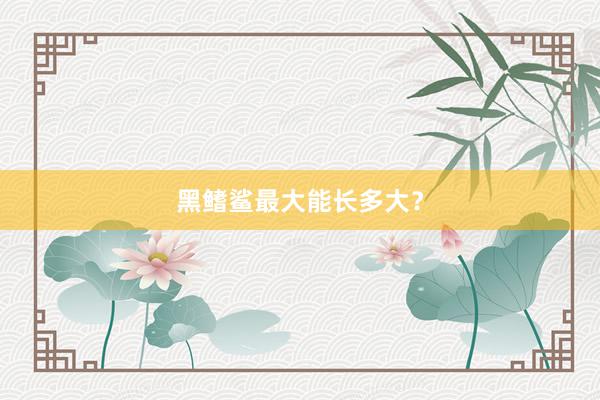 黑鳍鲨最大能长多大？